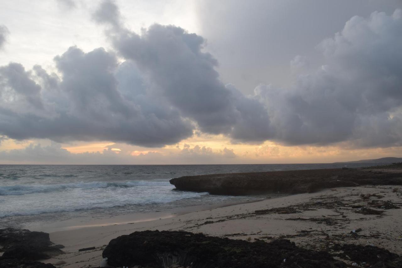 Arena Condos Aruba - Few Steps From Eagle Beach! Palm Beach Exterior foto